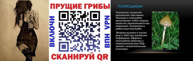Псилоцибиновые грибы мухоморы  Зеленоградск 