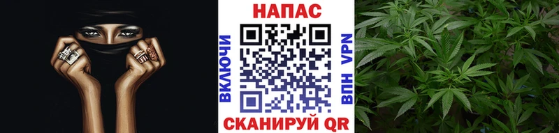 Бошки марихуана OG Kush Зеленоградск